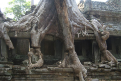 Angkor Wat