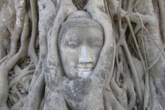 Ayutthaya