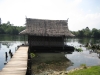 Photo0043