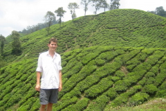 Cameron Highlands