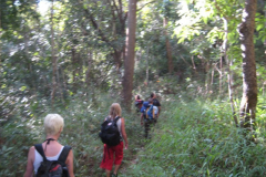 Trekking in Chiang Mai