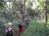 Photo0224